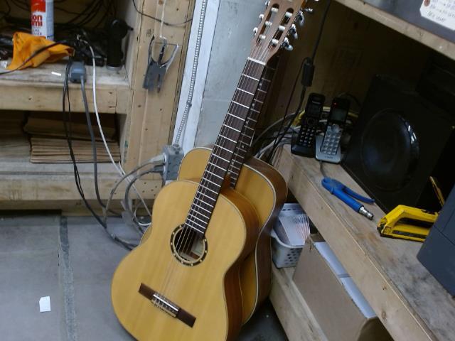 Guitare acoustique ortega avec case