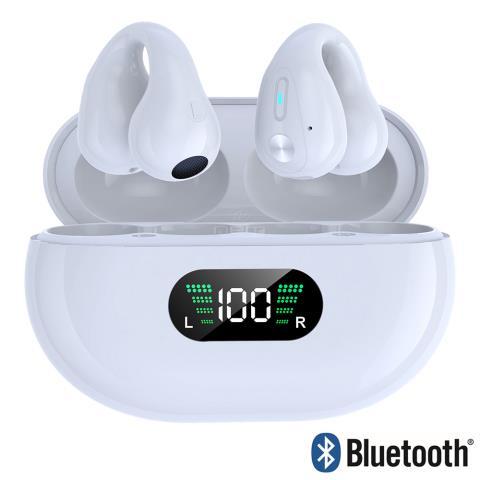 Bluetooth earbuds in box