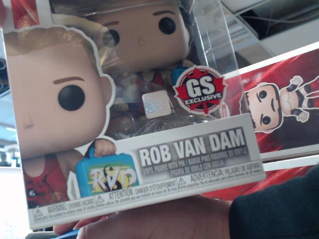 Rob van daam