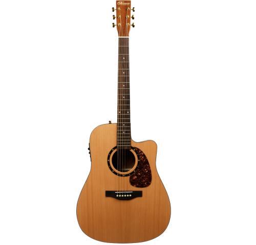 Guitar acoustique +case