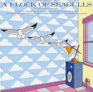 The best of flock of seagulss