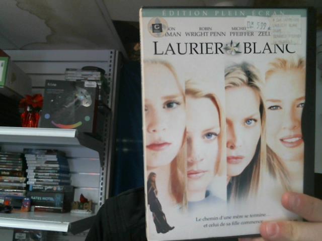 Laurier blanc