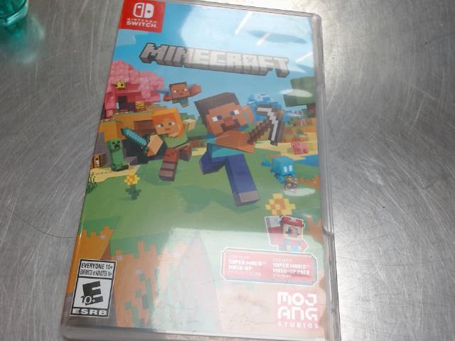 Minecraft switch