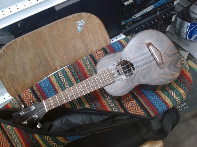 Ukulele pyle avec ettuie