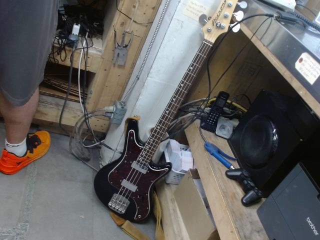 Short scale bass acinonyx dans case