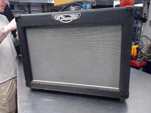 Ampli traynor dg15r 15w 1x10''