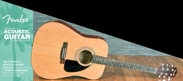 Fa-100       guitare acoustique fend