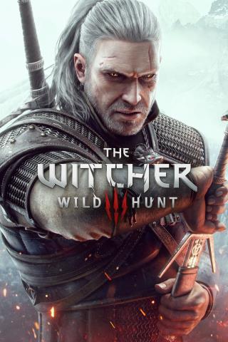 The witcher 3