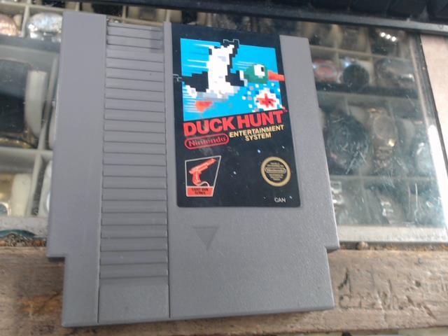 Duck hunt