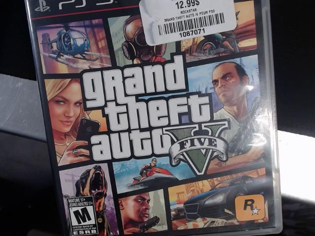 Grand theft v