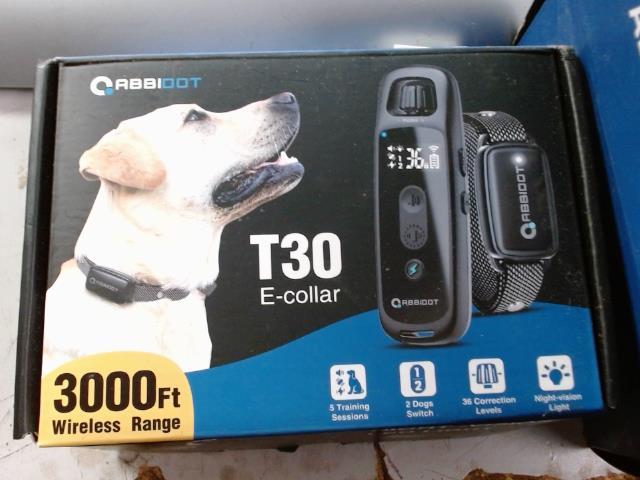 Collet dressage chien