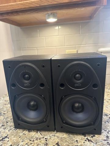 Pair speaker back