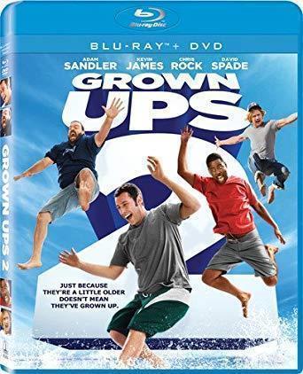 Grown ups 2