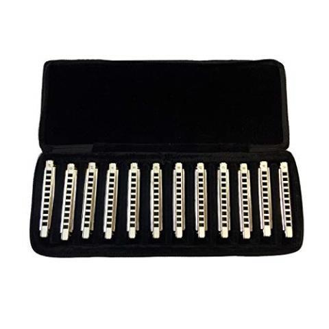 Set de 12 harmonica easttop + pochewtte