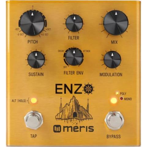 Enzo meris pedal de guitar