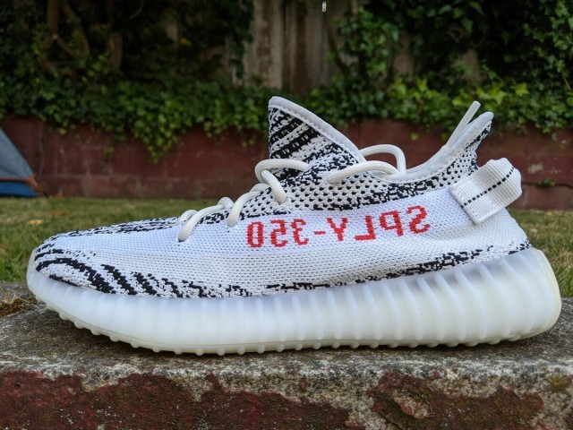 Yeezy  zebra withe