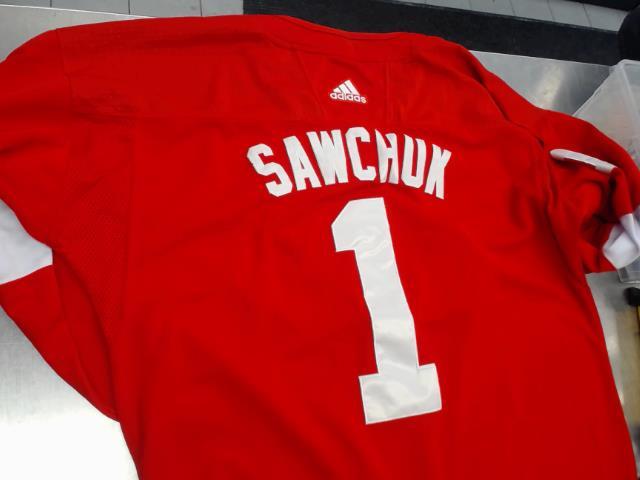 Terry sawchuk #1 detroit red wings