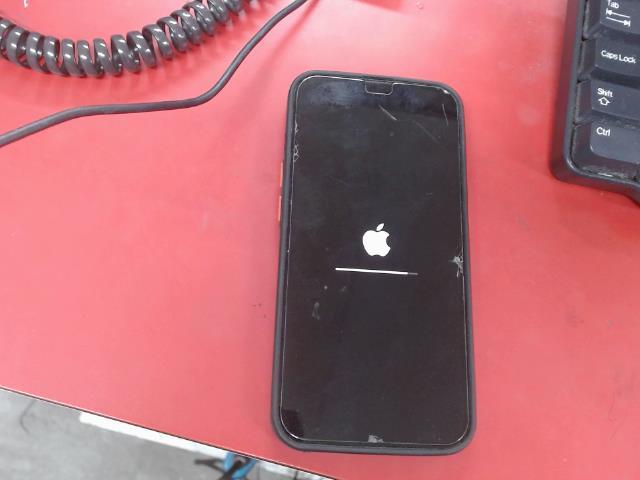 Iphone 13 128go+fil