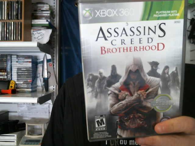 Assassin's creed brotherbrood