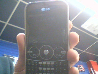 Cell lg gw 300 fido