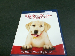 Marley & me the puppy years