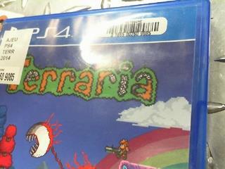 Terraria